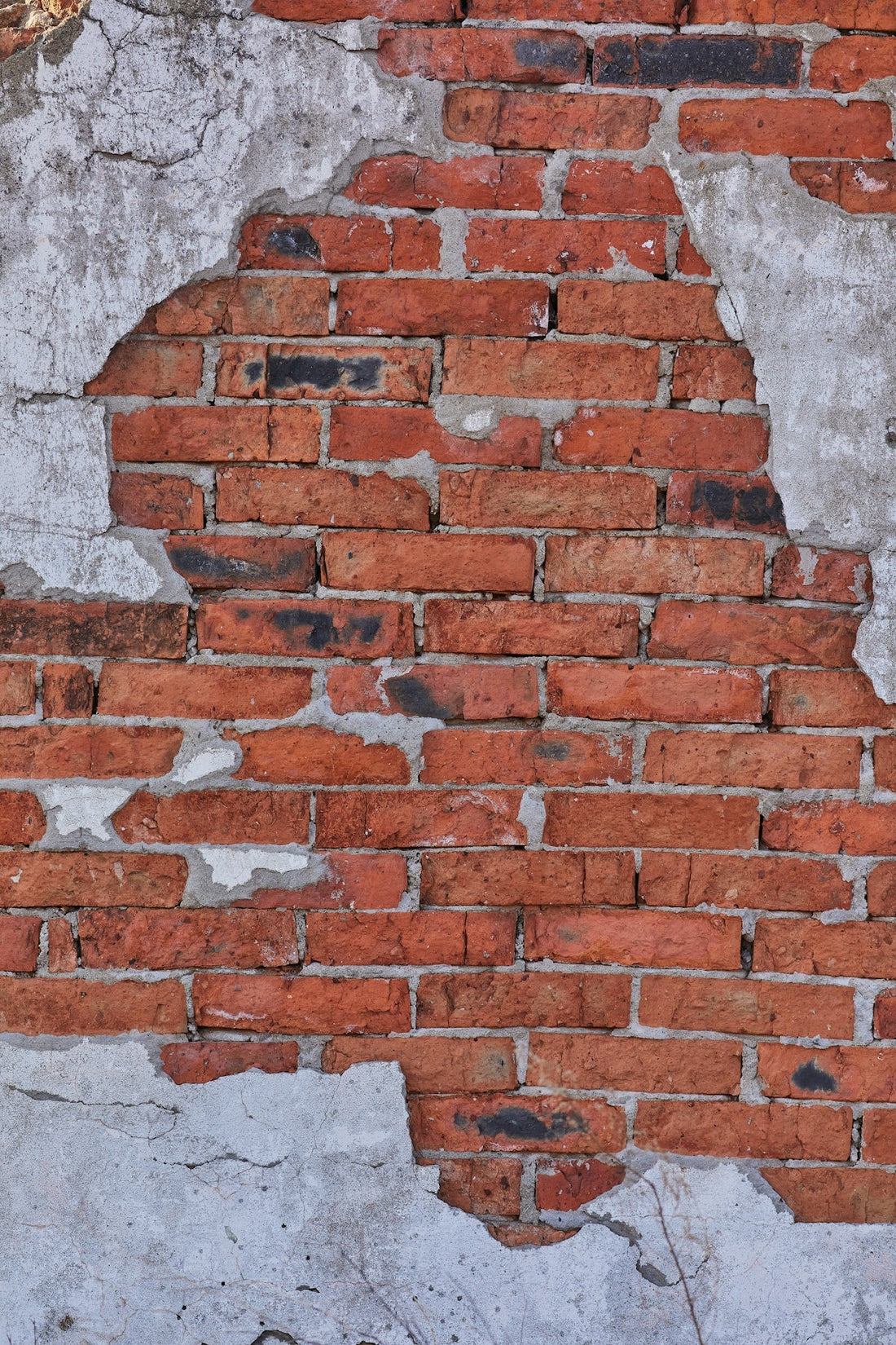A Comprehensive Guide to Bricks for Sale Near Me: Choosing the Right Breeze Blocks and Brick for Any Project - JJ Building Materials