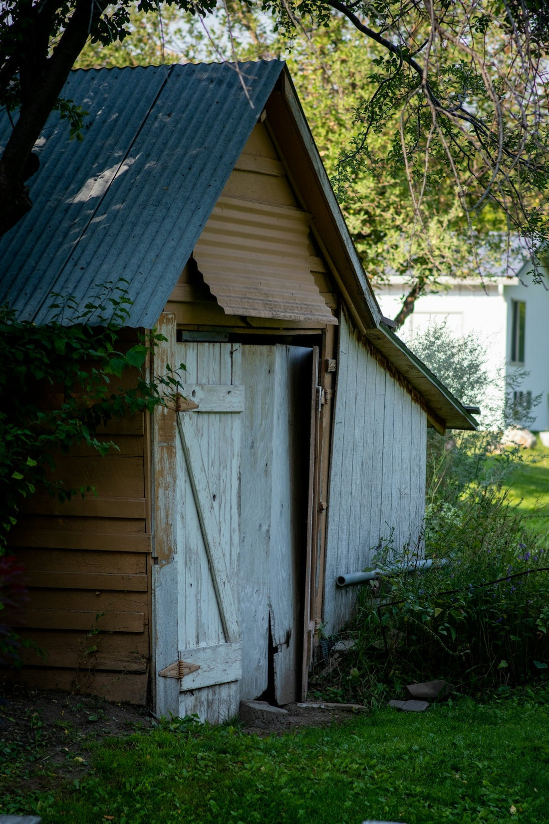 A Deep Dive into Small Sheds and Their Multiple Uses - JJ Building Materials