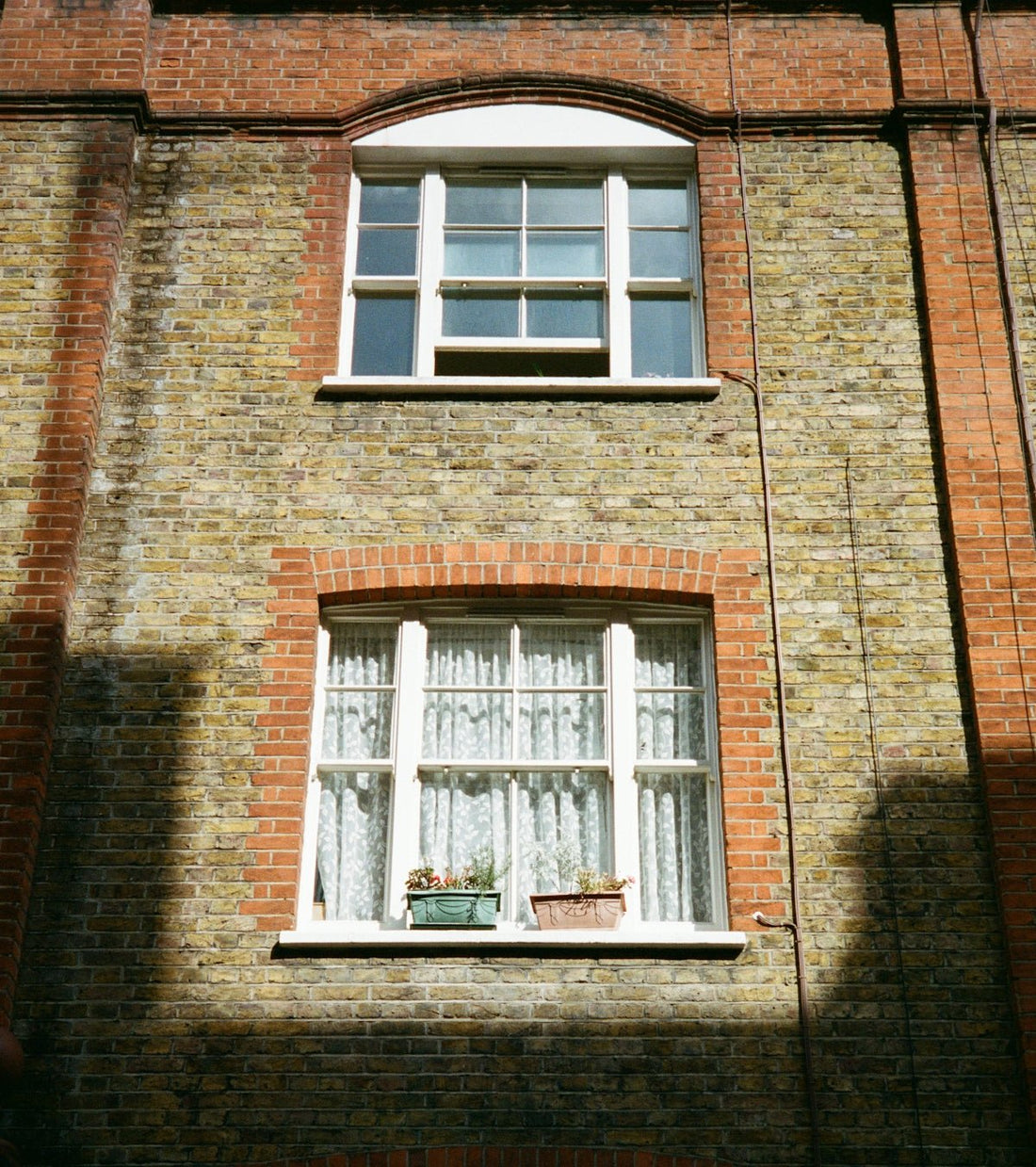 A Guide for Homeowners on Bricks: How Blue Engineering Bricks and Grey Options Meet Construction Demands in the UK. - JJ Building Materials