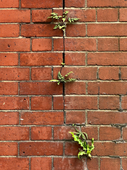 Blue Bricks Demystified: Unravelling Their Significance and Practical Uses for Home Renovations - JJ Building Materials