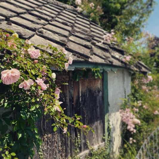 Choosing Between a Pent Shed and a 6x4 Shed for Outdoor Organisation - JJ Building Materials