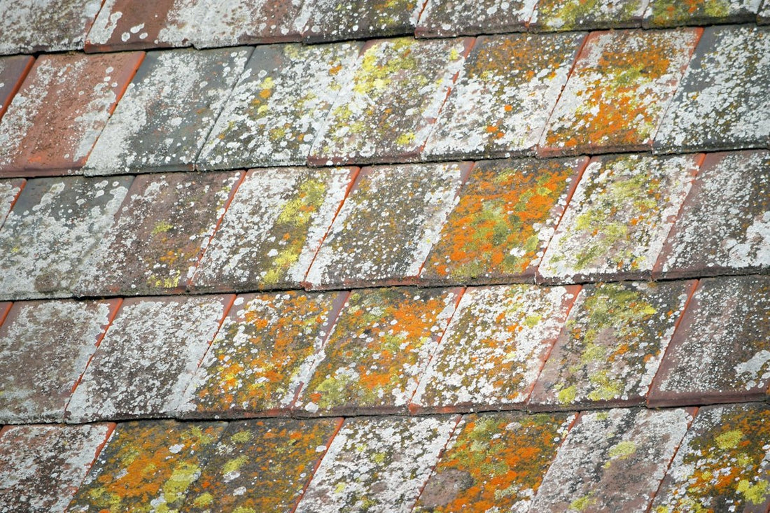 Embracing Colour and Durability: How to Choose the Right BMI Redland Concrete Plain Roof Tile for Your Home Roof Transformation - JJ Building Materials