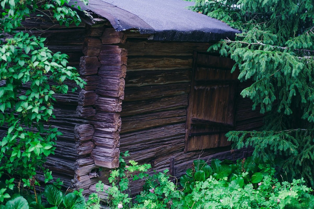 Explore Why Garden Sheds Plastic Could Be Your Best Investment - JJ Building Materials