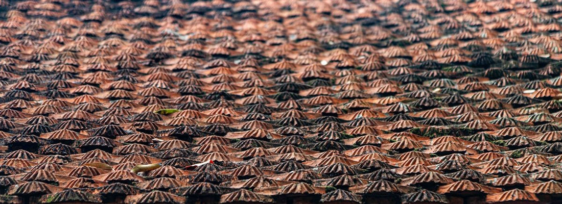 Exploring the Rich Palette of Redland Roof Tiles from BMI Redland How to Choose the Best Rosemary Clay Classic Roof Tile for Your Home - JJ Building Materials