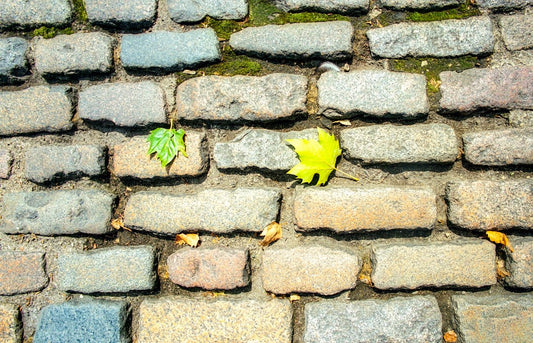 Facing Bricks for Architects: Enhance Designs with Innovative Brick Solutions near You - JJ Building Materials