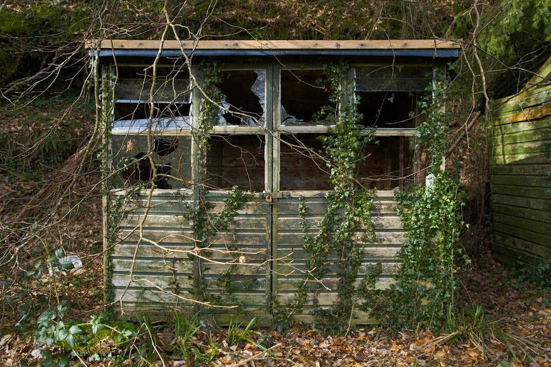 From Big Garden Sheds to Small Sheds: Exploring Diverse Options - JJ Building Materials
