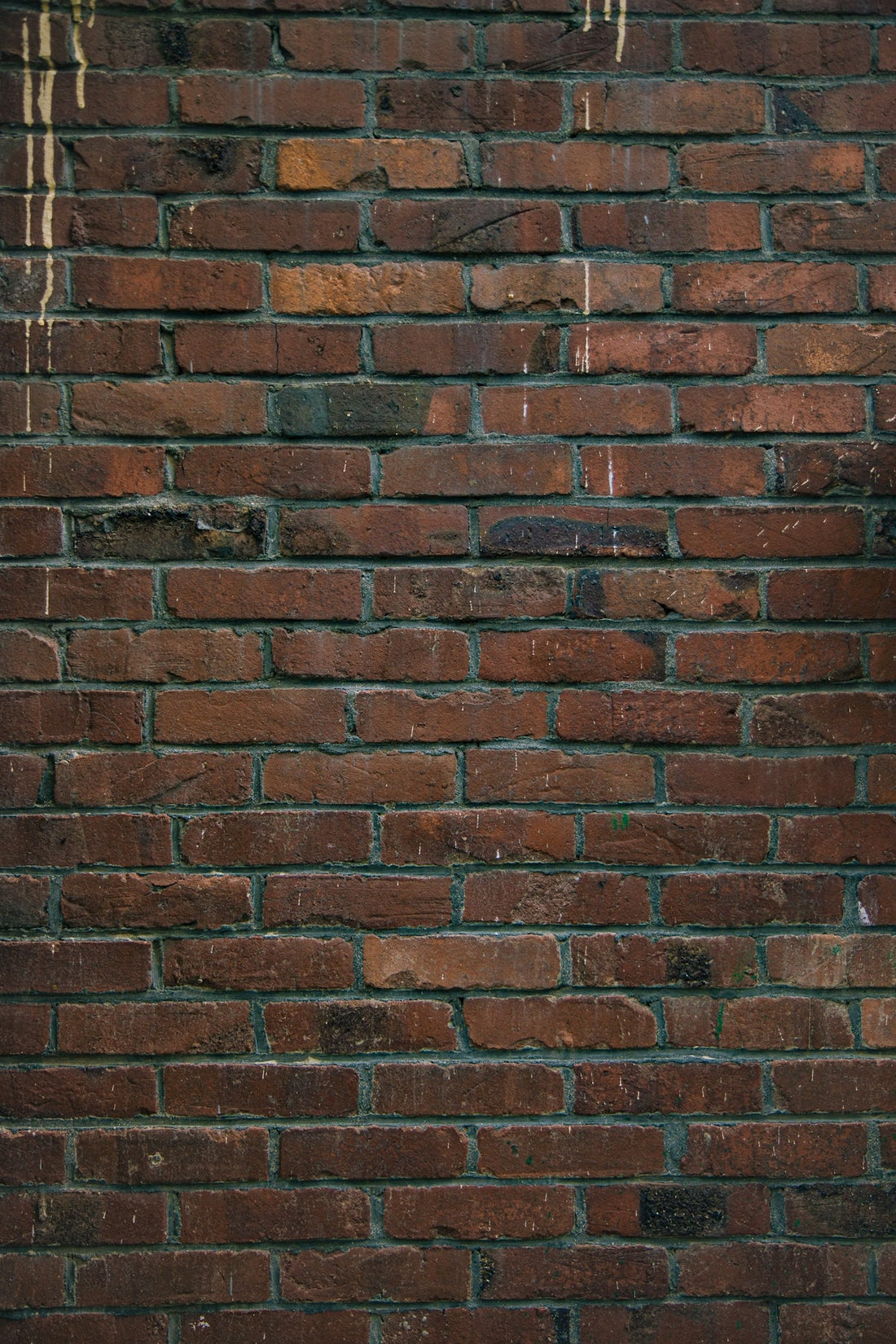 How to Master Brick on a Wall with the Perfect Brick Price: Projects That Stand the Test of Time - JJ Building Materials