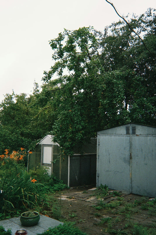 Inspiring Ideas for Making Use of Small Sheds in Your Garden - JJ Building Materials