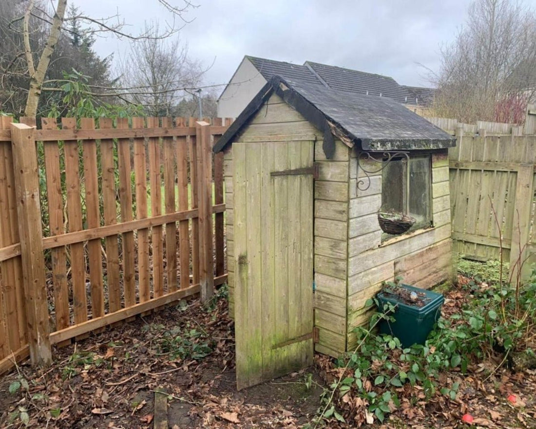 Multi-use Potting Shed: A Green Thumb's Dream in a Small Shed - JJ Building Materials