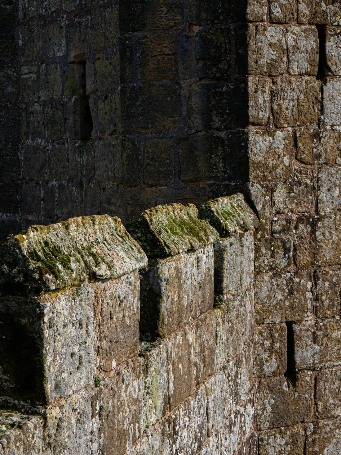 Navigating the Brick Landscape: A Buyers Guide to the Best Bricks near Me - JJ Building Materials