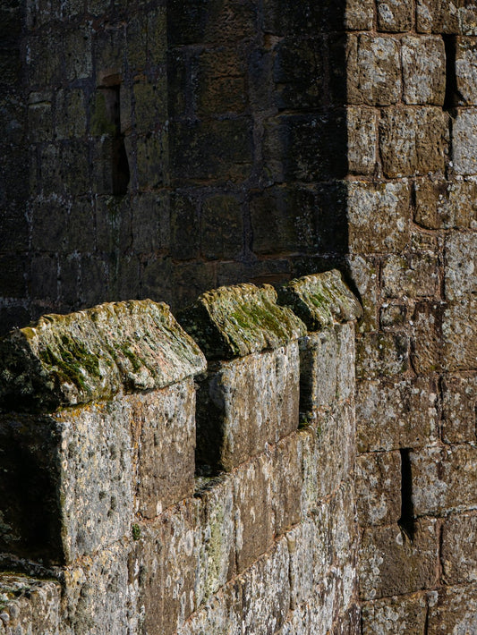 Navigating the Brick Landscape: A Buyers Guide to the Best Bricks near Me - JJ Building Materials