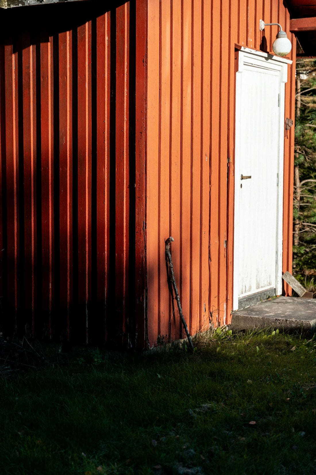 Plastic Shed or Metal Shed Which is Right for You - JJ Building Materials