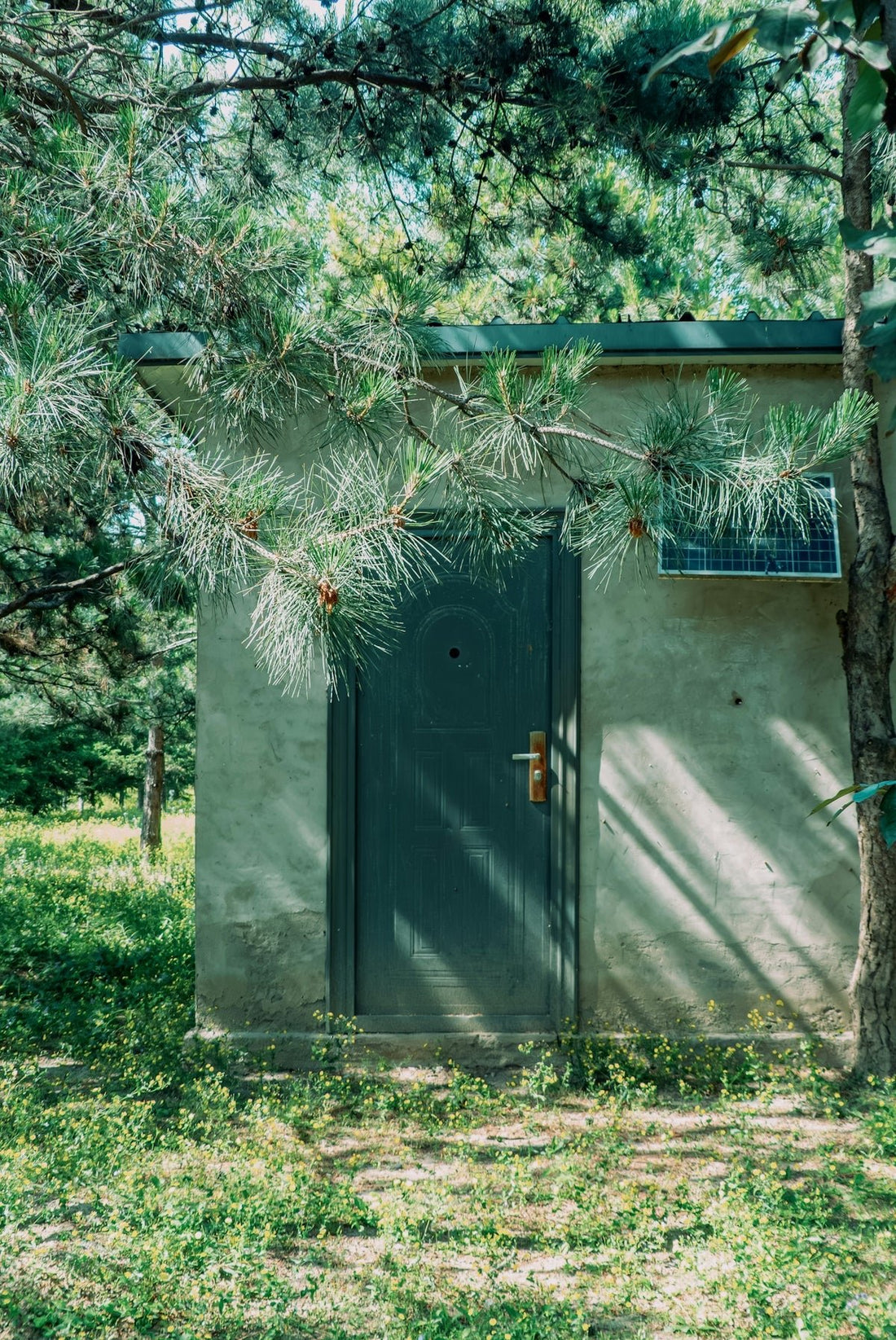 Solving the Longevity Challenges of Metal and Plastic Shed Solutions - JJ Building Materials