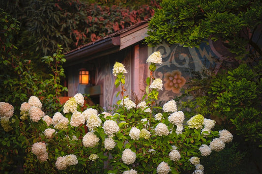 The Best Uses for a 10 x 6 Shed in Modern Landscaping - JJ Building Materials