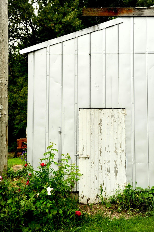The Evolution of Outdoor Storage: From Wood Sheds to Plastic Garden Sheds - JJ Building Materials