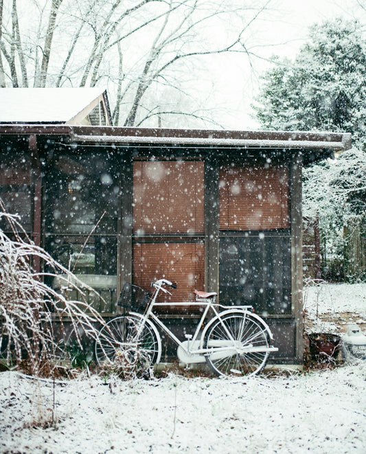 The Perks of Opting for a Plastic Shed for Modern Gardens - JJ Building Materials
