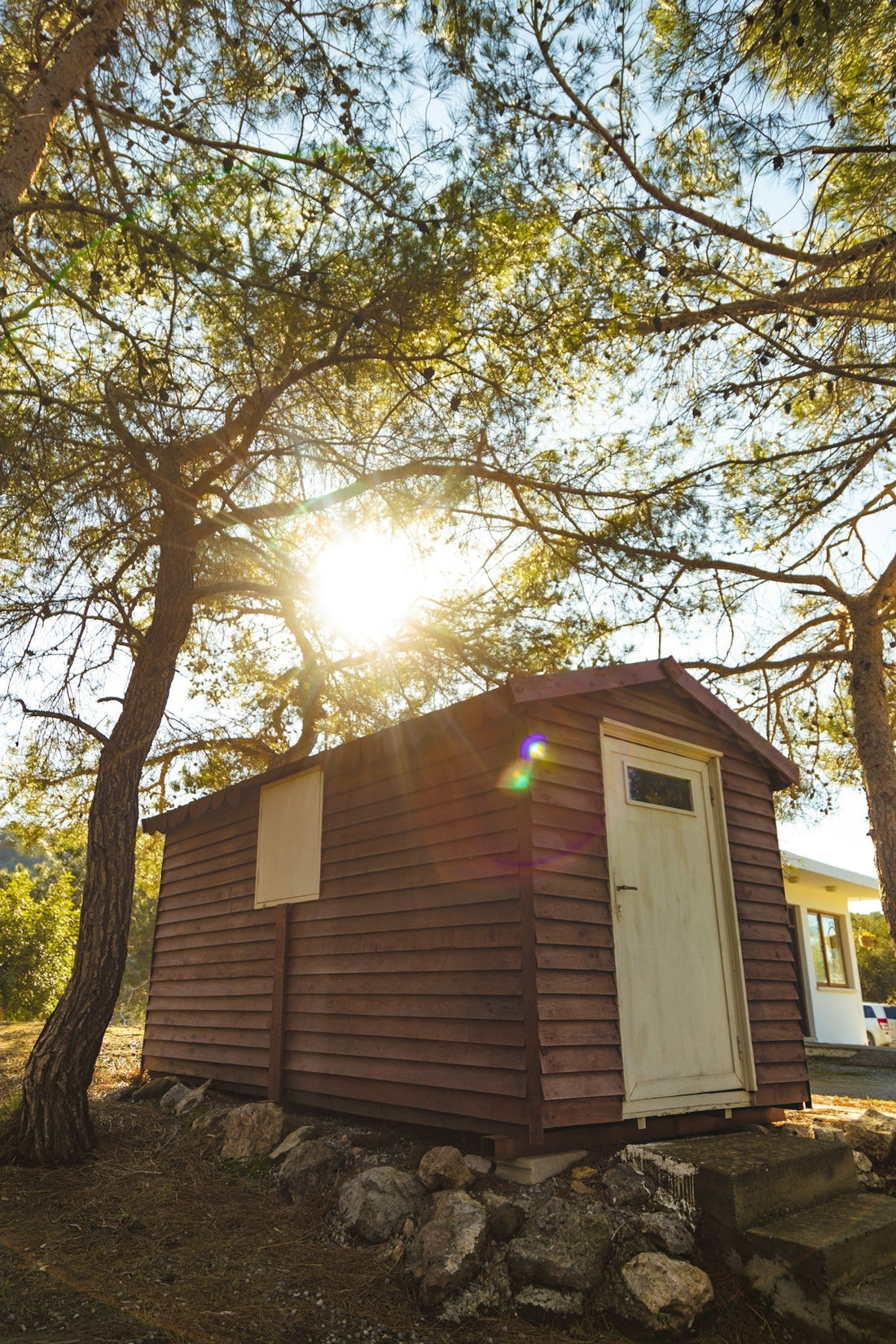 Transform Your Garden with a Small Wood Shed or Plastic Garden Shed - JJ Building Materials