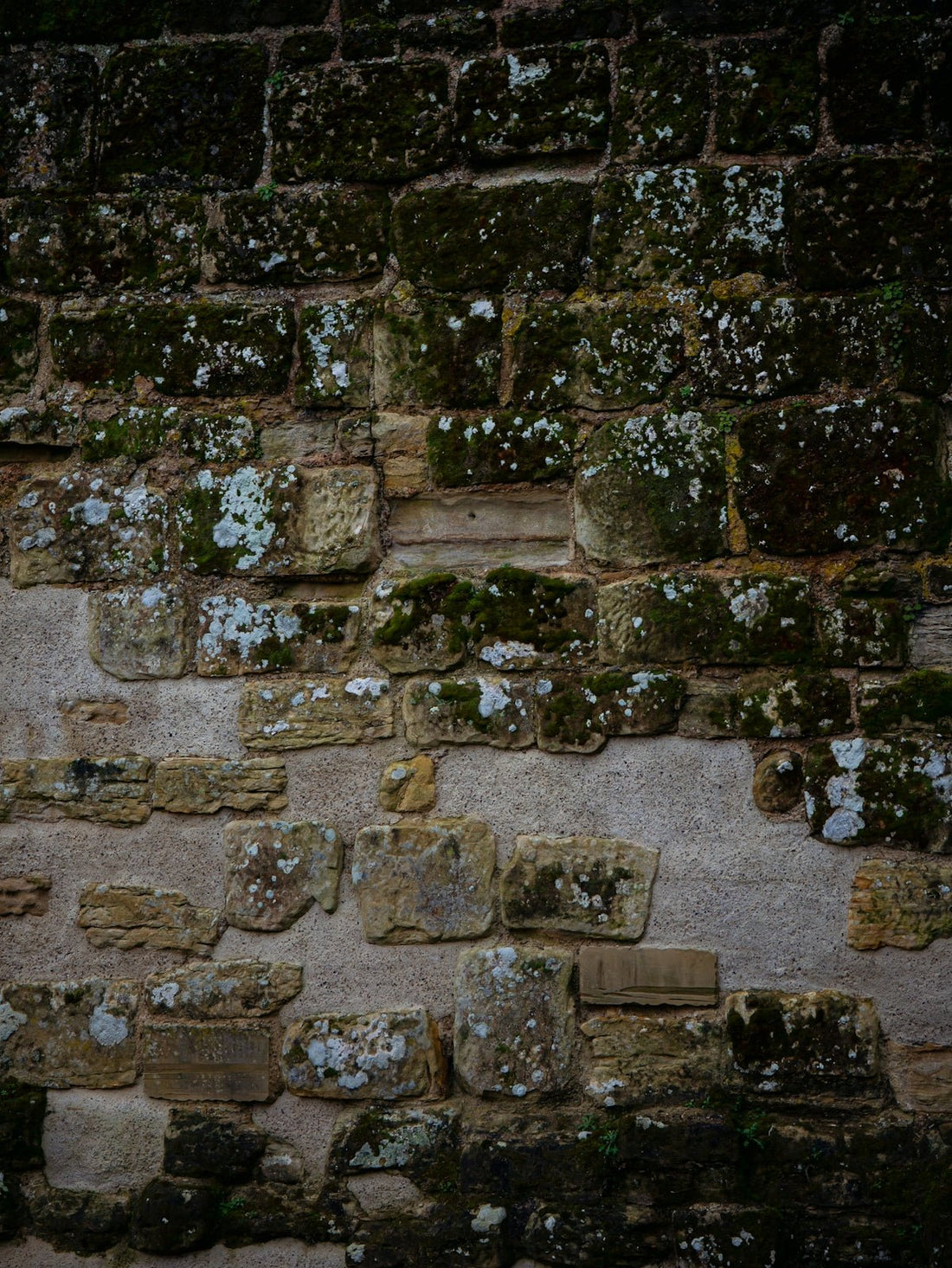 Understanding the Practical Needs for Durable Brick on a Wall in Every Home - JJ Building Materials