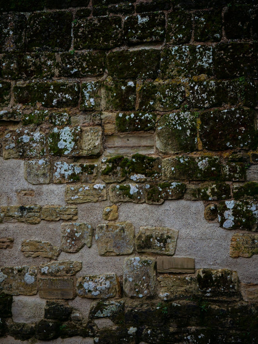Understanding the Practical Needs for Durable Brick on a Wall in Every Home - JJ Building Materials