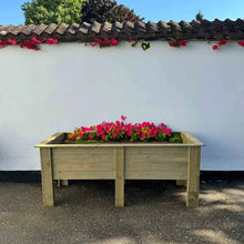 Shire Bloom Shallow Planter 6x2ft