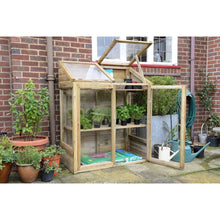 Forest Mini Greenhouse