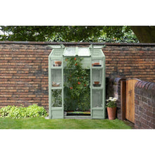 Forest Victorian Tall Wall Greenhouse