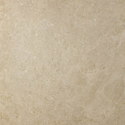 Johnson Tiles Minerals Porcelain Wall & Floor Tiles