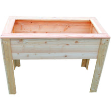 Shire Stef Larch Planter