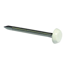 Bright Nails Poly Pins - JJ Building Materials