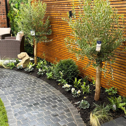 Elite Black Indian 60mm Limestone Setts - JJ Building Materials