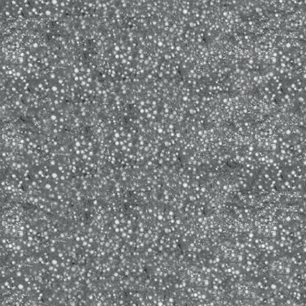 Flexim Roof Putty - JJ Building Materials