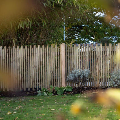 Forest 6ft x 3ft (1.83m x 0.9m) Pressure Treated Contemporary Picket Fence Panel - JJ Building Materials