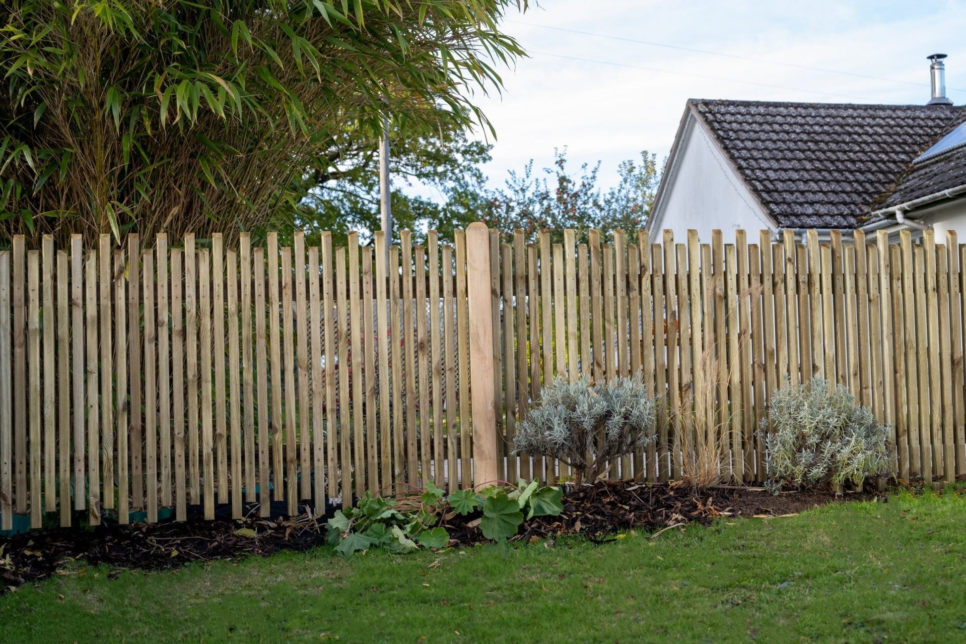 Forest 6ft x 3ft (1.83m x 0.9m) Pressure Treated Contemporary Picket Fence Panel - JJ Building Materials