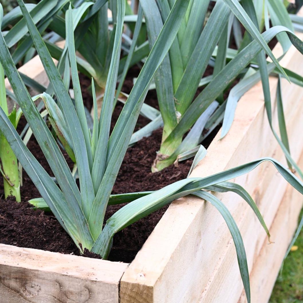Forest Caledonian Trough Raised Bed 45 x 180cm - JJ Building Materials