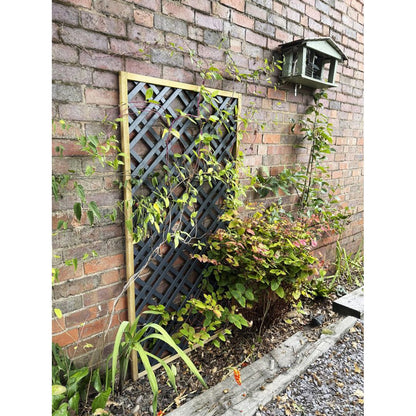 Forest Grey Painted Lattice - JJ Building Materials