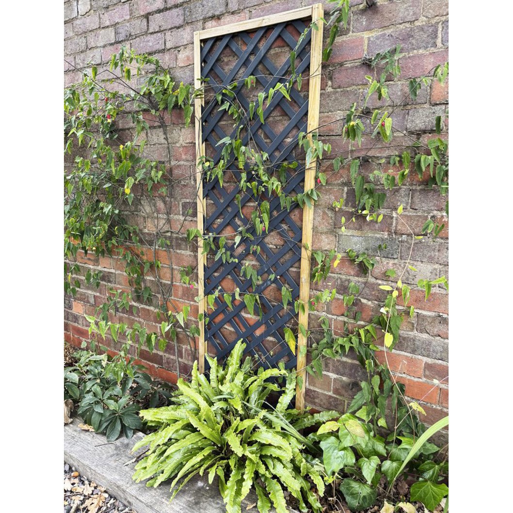Forest Grey Painted Lattice - JJ Building Materials