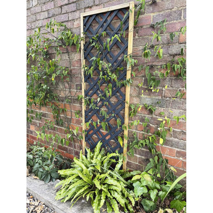 Forest Grey Painted Lattice - JJ Building Materials