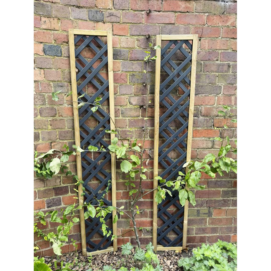 Forest Grey Painted Lattice - JJ Building Materials