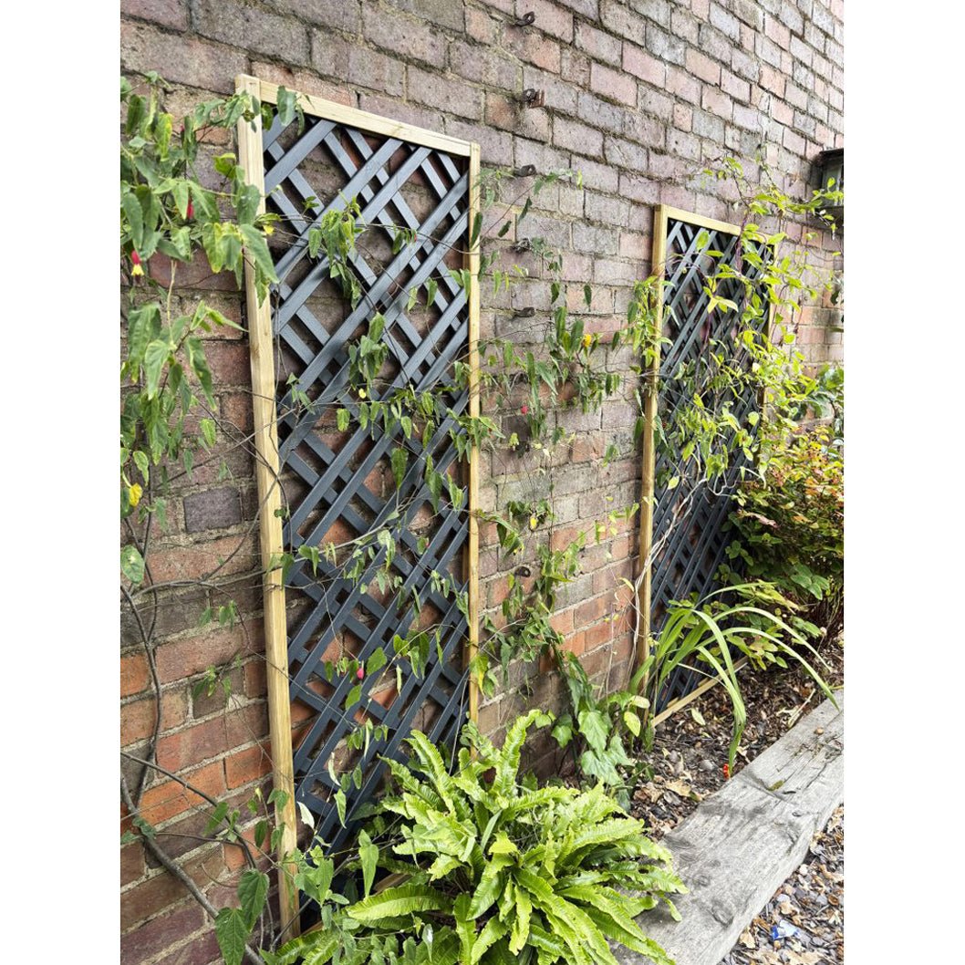 Forest Grey Painted Lattice - JJ Building Materials