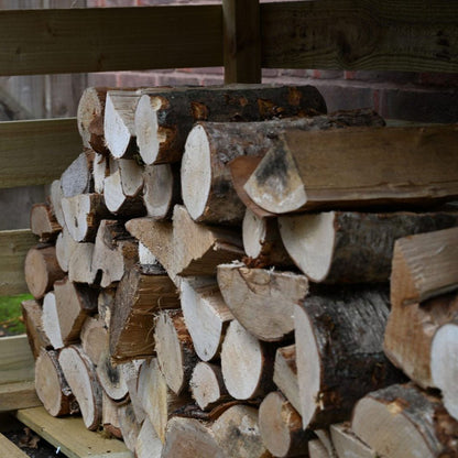 Forest Large Log Store - JJ Building Materials