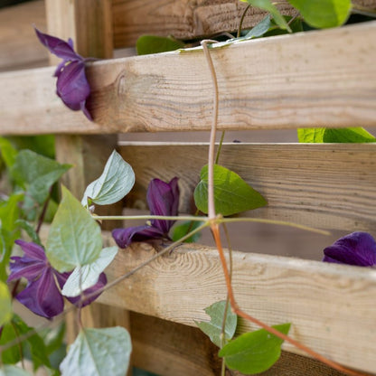 Forest Living Screen Planter - JJ Building Materials