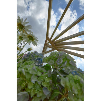 Forest Premium Radial Pergola - JJ Building Materials