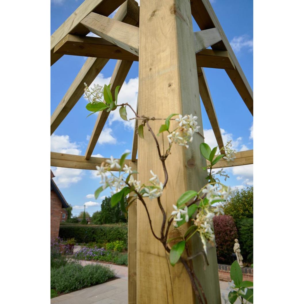 Forest Premium Radial Pergola - JJ Building Materials