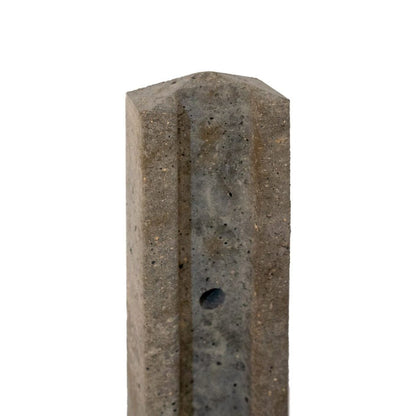 Forest Professional Concrete Post - 2.44m - JJ Building Materials