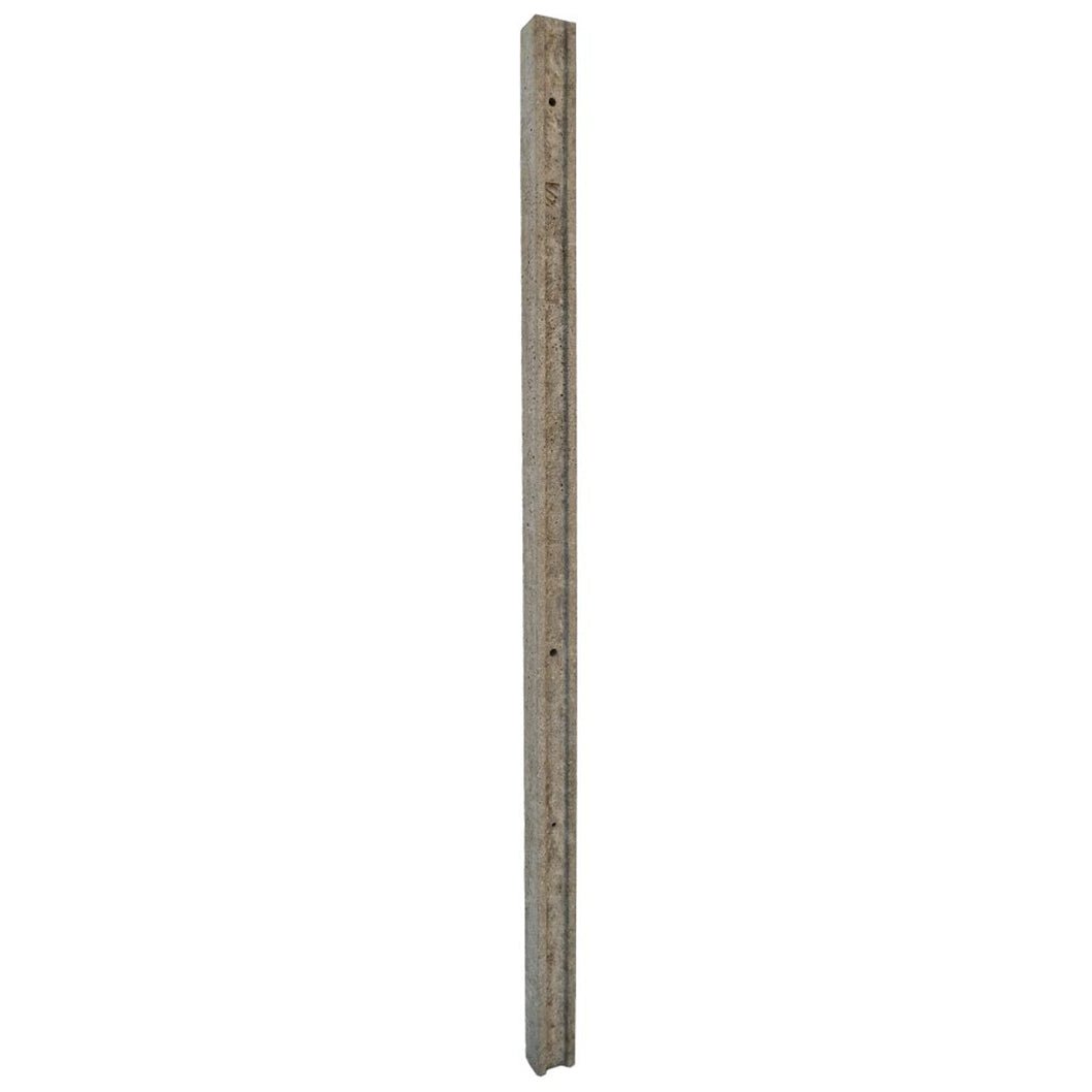Forest Professional Concrete Post - 2.44m - JJ Building Materials