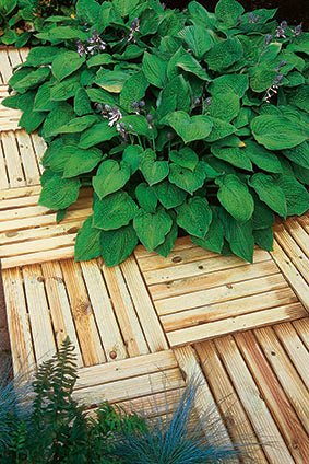 Forest Ridged Deck Tile - 50x50cm - Pack of 4 - JJ Building Materials