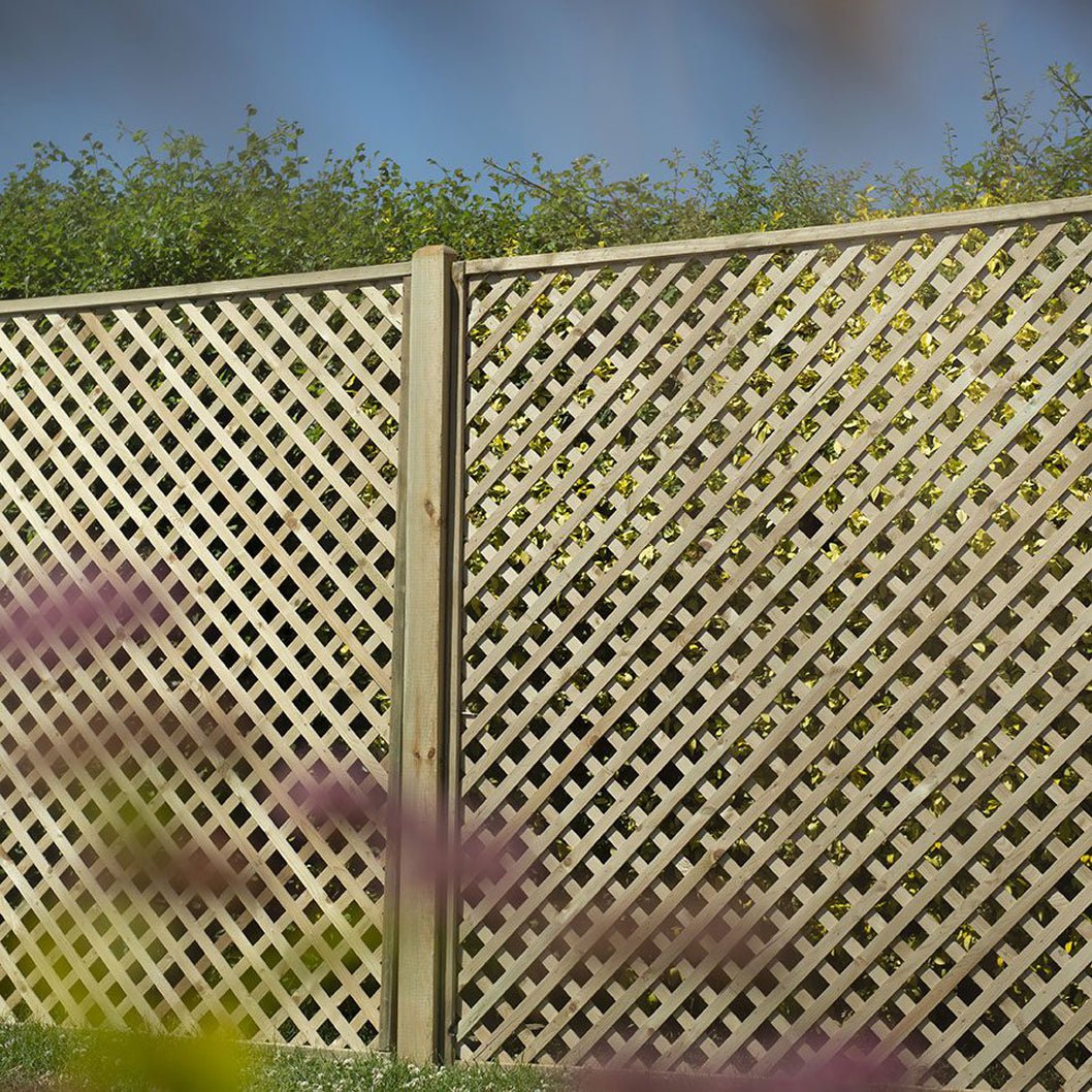 Forest Rosemore Lattice - JJ Building Materials