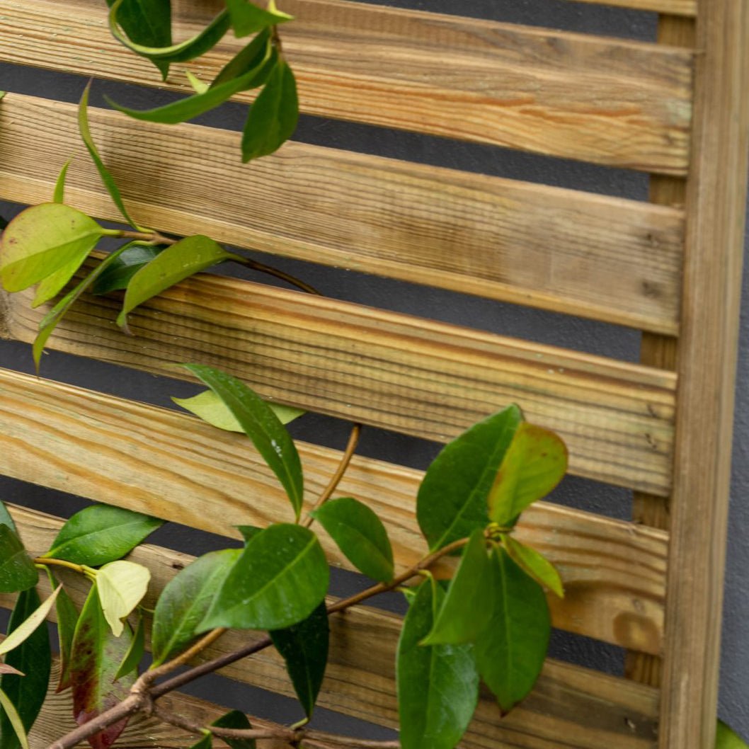 Forest Slatted Trellis - JJ Building Materials