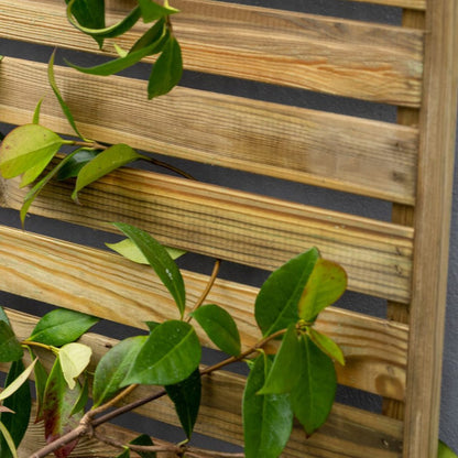 Forest Slatted Trellis - JJ Building Materials