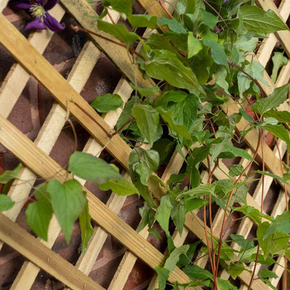 Forest Trellis Planter - JJ Building Materials